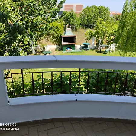 Karalia * ليبتوكاريا